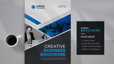 Professional Brochure Design Company