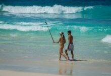 digital adventure unfolds online