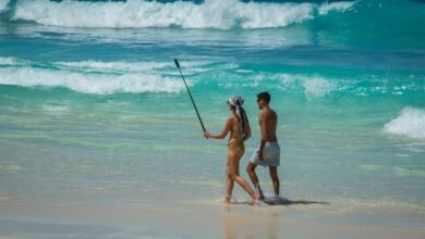 digital adventure unfolds online