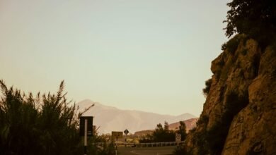 exploring unconventional life journeys
