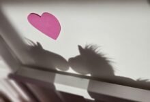 magical and enchanting profile