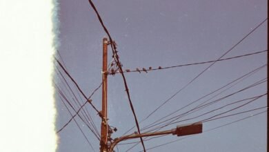 support hotline available now