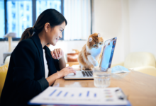 Work From Anywhere: The Best Free Tools for Remote Workers to Stay Productive and Connected