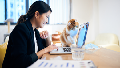Work From Anywhere: The Best Free Tools for Remote Workers to Stay Productive and Connected