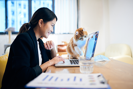 Work From Anywhere: The Best Free Tools for Remote Workers to Stay Productive and Connected