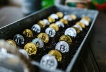 building wealth with stocks
