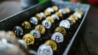 building wealth with stocks