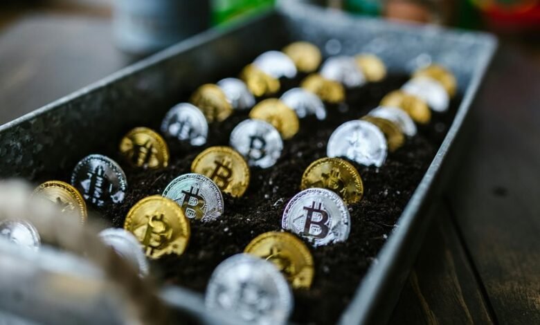 building wealth with stocks