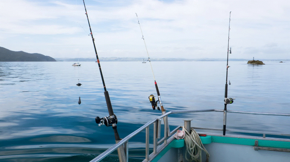 Top Questions to Ask Before Booking a Fishing Charter