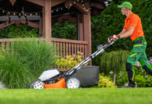 The Long-Term Benefits of Consistent Lawn Maintenance