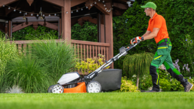 The Long-Term Benefits of Consistent Lawn Maintenance