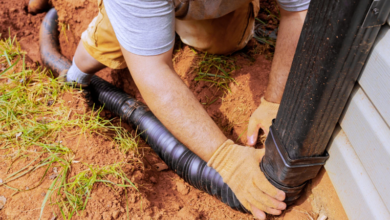 The Benefits of Working with a Local Yard Drainage Company for Personalized Solutions