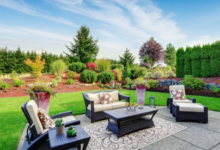 Why Vertical Elements Amplify a Backyard Makeover