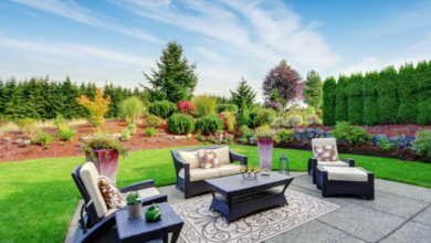 Why Vertical Elements Amplify a Backyard Makeover