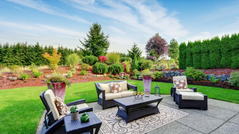 Why Vertical Elements Amplify a Backyard Makeover