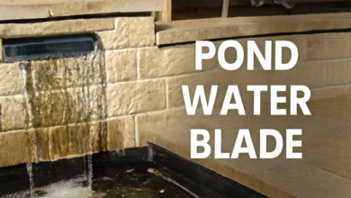 Pond Water Blade: A Striking Focal Point for Your Garden