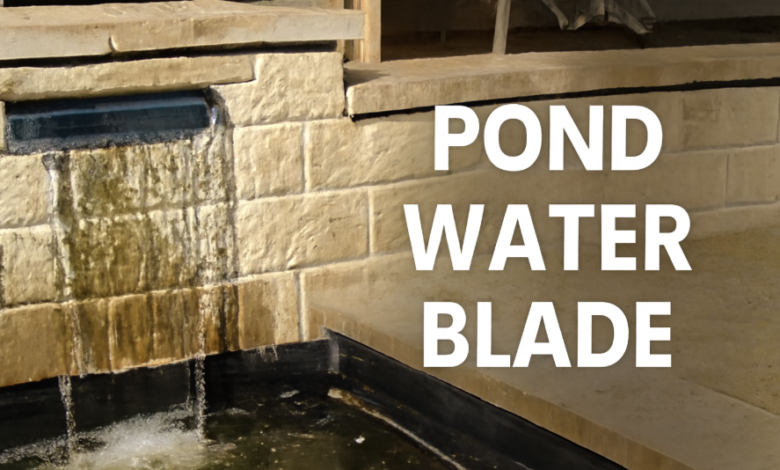 Pond Water Blade: A Striking Focal Point for Your Garden