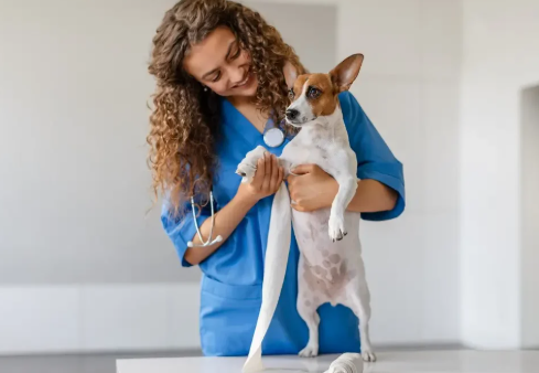5 Reasons Pet Owners Recommend Their Veterinary Clinics To Others