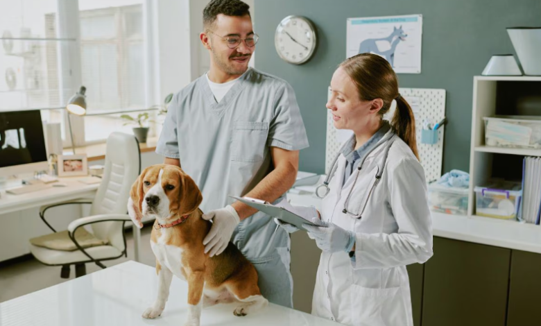 4 Common Services You’ll Find At A General Veterinary Clinic