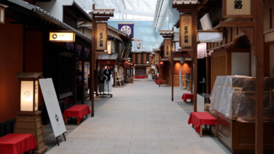 Haneda Airport Explained: Terminals, Access, and What to Do If You Lose Something