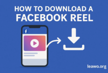 How to Download a Facebook Reel: Fast & Easy Methods