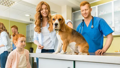 5 Advantages Of Early Puppy And Kitten Veterinary Visits