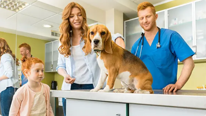 5 Advantages Of Early Puppy And Kitten Veterinary Visits