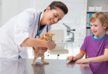 4 Signs Your Pet Should Visit An Animal Hospital Immediately