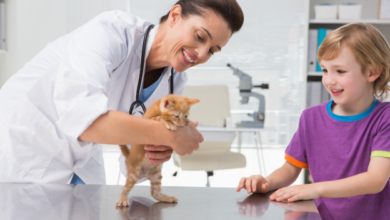 4 Signs Your Pet Should Visit An Animal Hospital Immediately