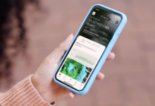 How Do Weather-Checking Portals Help Plan Your Day?