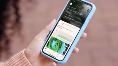 How Do Weather-Checking Portals Help Plan Your Day?