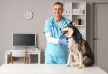 3 Signs Your Dog Needs An Animal Hospital Visit Right Away