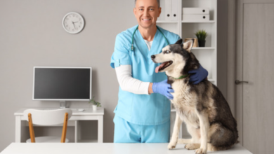 3 Signs Your Dog Needs An Animal Hospital Visit Right Away