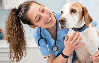 3 Red Flags Your Dog Needs to Go to an Animal Hospital Fast