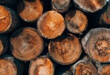 advanced systems authentication logs