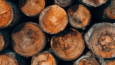advanced systems authentication logs