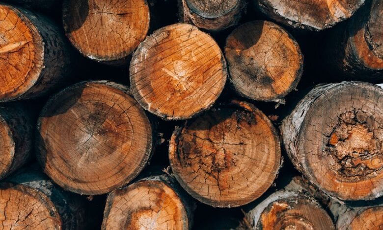 advanced systems authentication logs