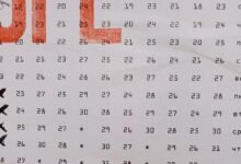 dynamic grid ids and dimensions
