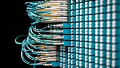 enterprise connectivity audit identifiers