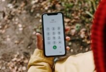 multiple phone numbers zenithwave engine