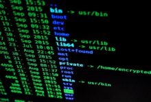 network operations assessment identifiers and ips