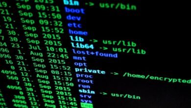 network operations assessment identifiers and ips